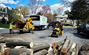 Reliable White Horse, NJ Tree Services Solutions